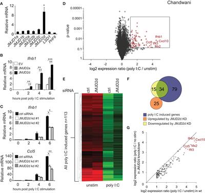 Control of enhancer and promoter activation in the type I interferon response by the histone demethylase Kdm4d/JMJD2d